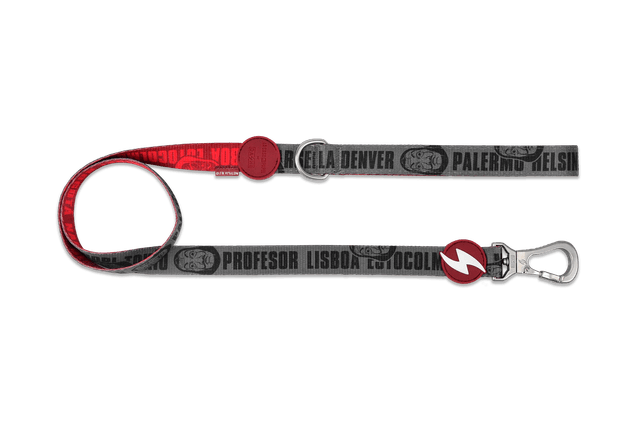 LCDP Melted leash