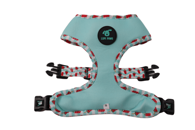 Auutermelon reversible harness