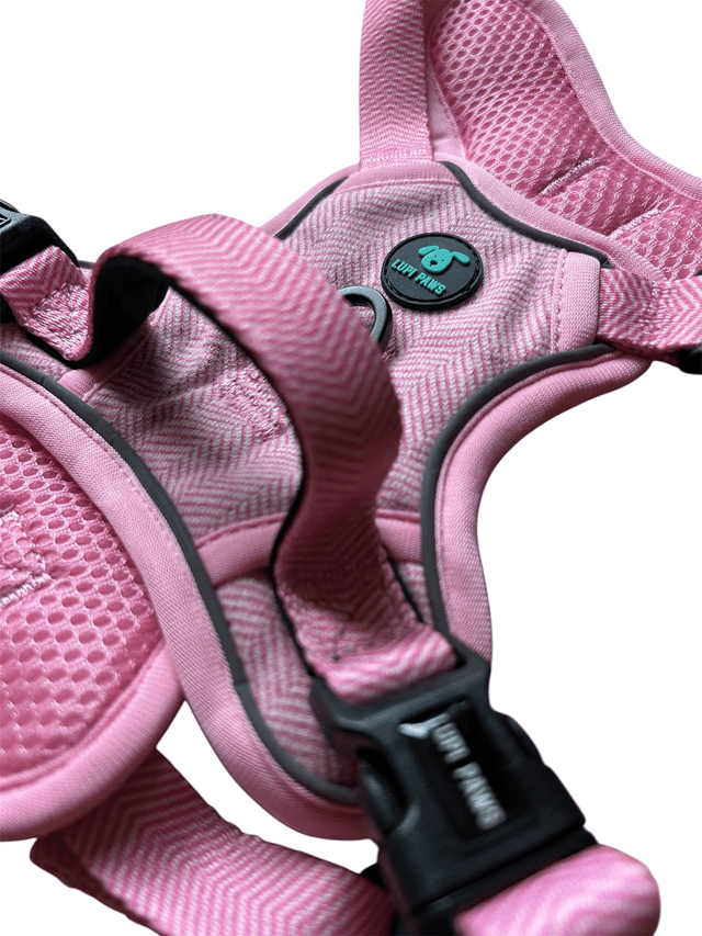 Tweed harness (small and medium breeds)