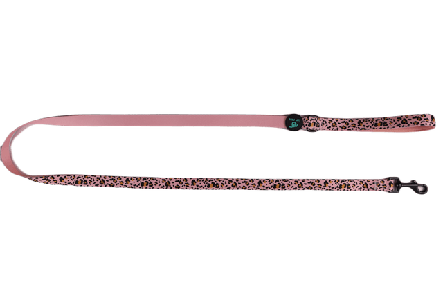 Leopawrd Leash
