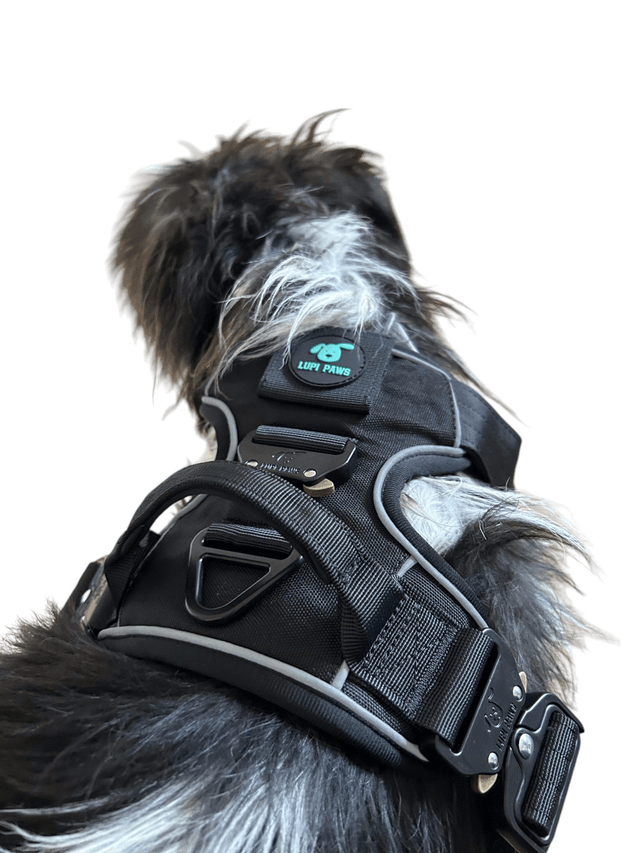 Tactical Harness - Black