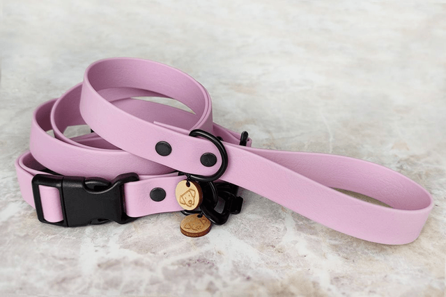 Lavender Leash