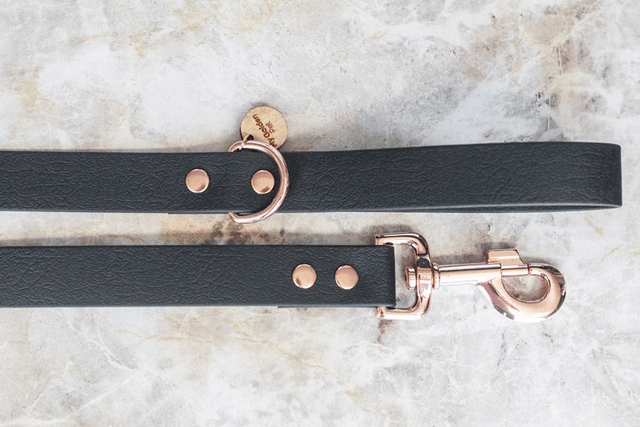 Meteor Leash