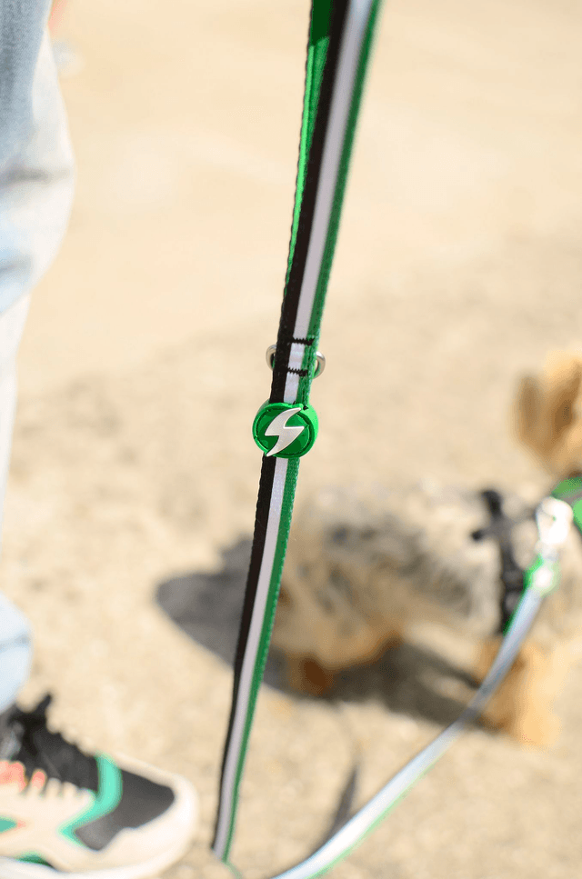 Stripes 3 Green & Black Leash
