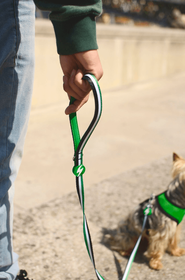 Stripes 3 Green & Black Leash