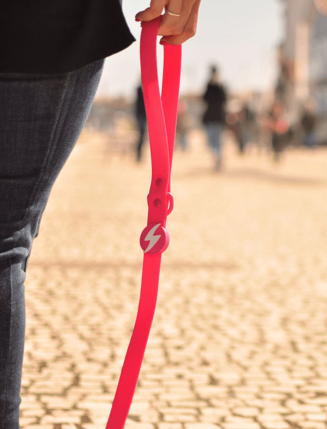 Colorflex Pink Leash