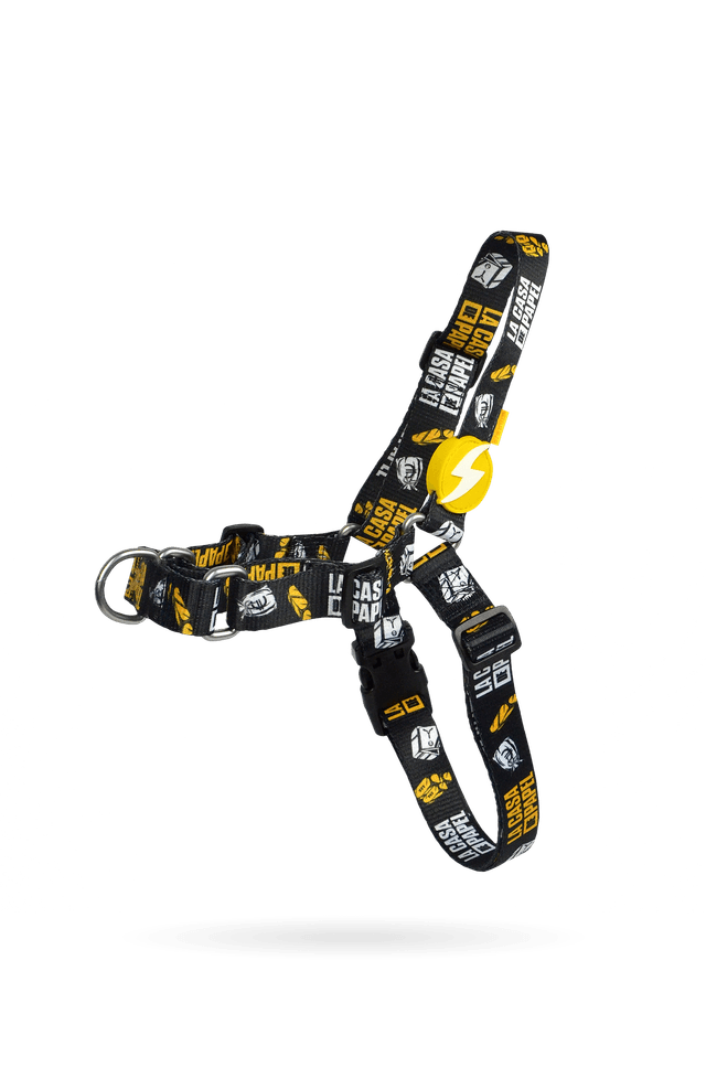 LCDP Golden front harness