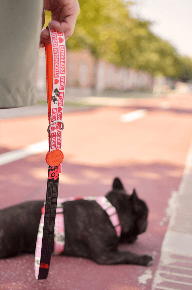 LCDP Jarana Leash