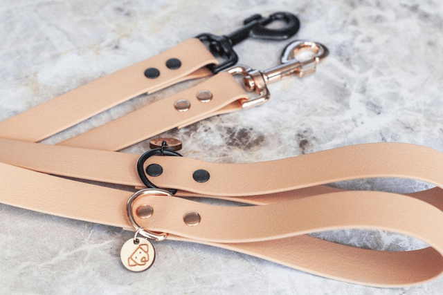 Sahara Leash 2,5 cm wide