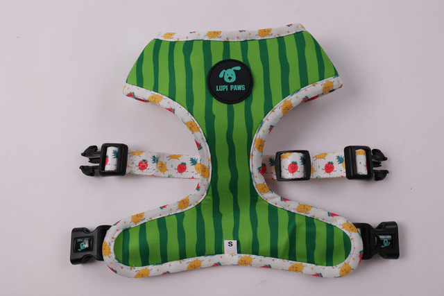 Tutti Frutti reversible harness
