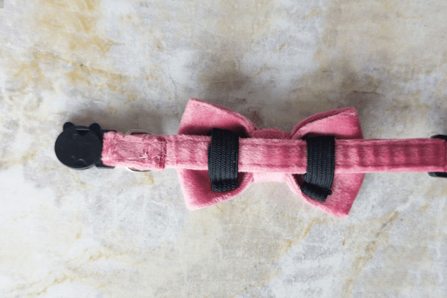 Velvet Rose Collar