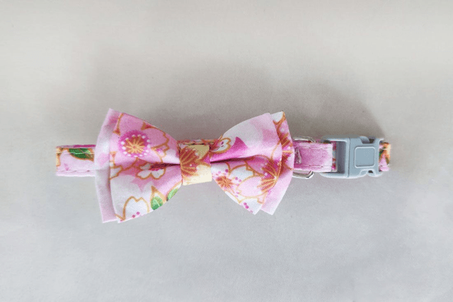 Floral Pink Mini Collar