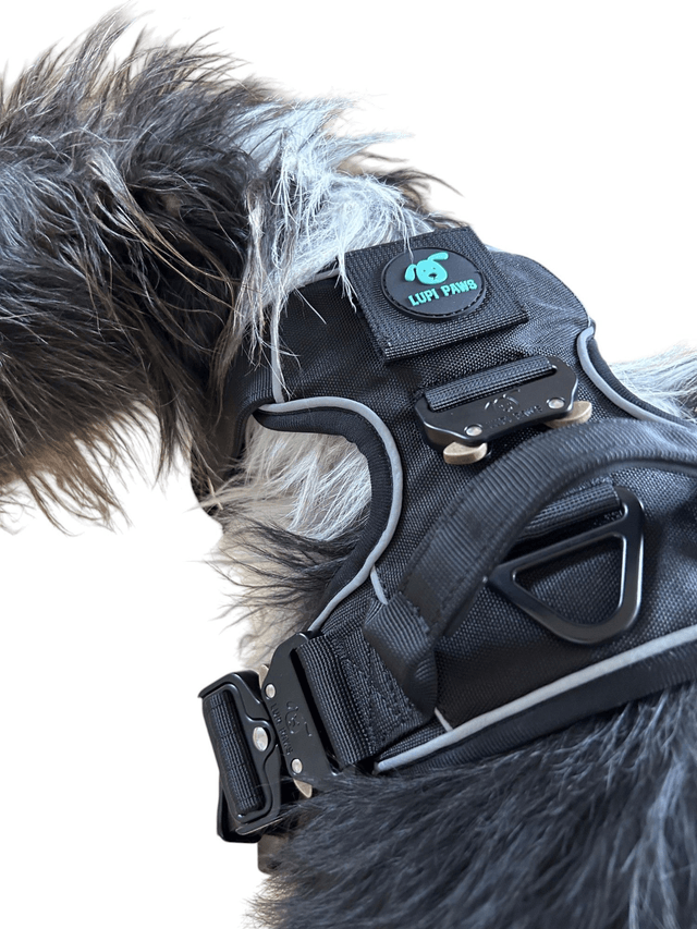 Tactical Harness - Black