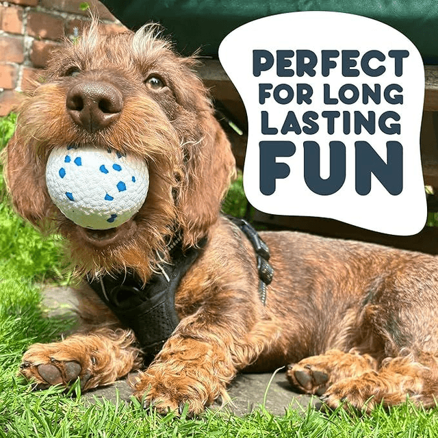 Ball Dog Toy (Extra Strong)