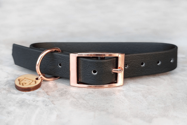 Meteor Collar with bowtie