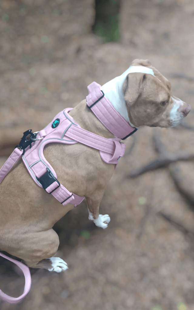 Tweed Collar - Pink