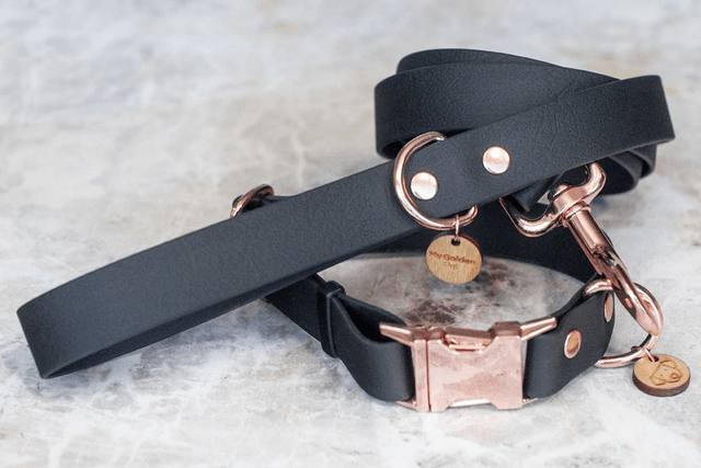 Meteor Leash