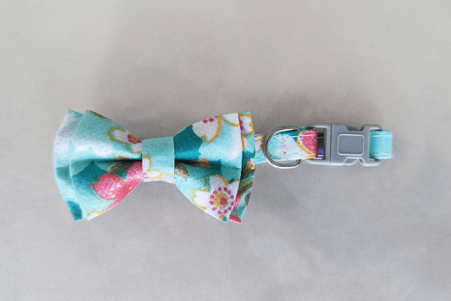 Floral Green Mini Collar