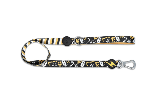 Spark Leash
