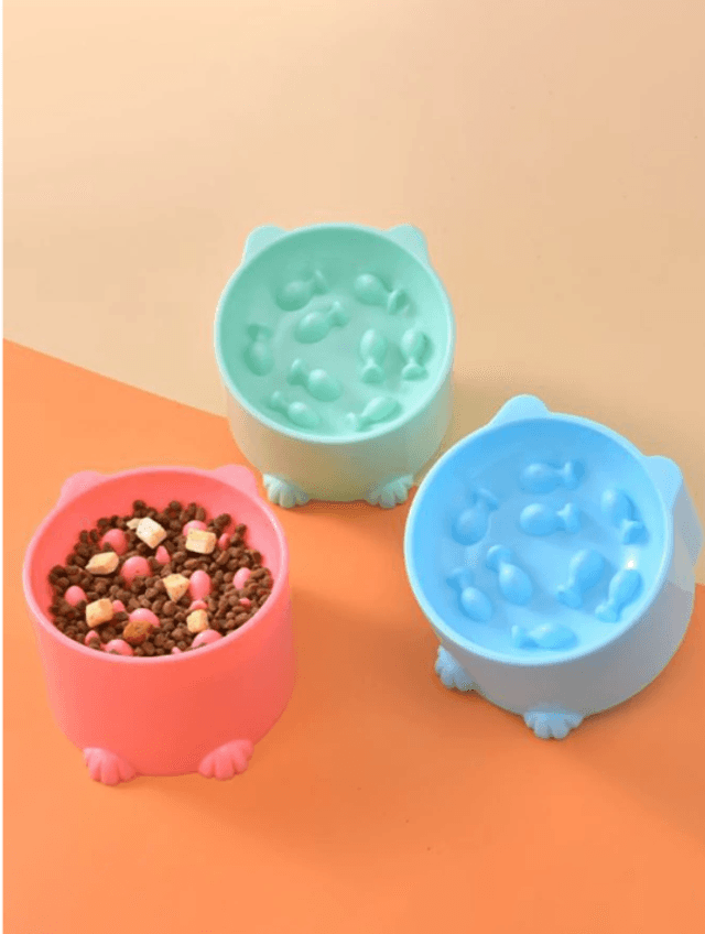 Slow Feeder for cats and small dogs