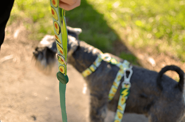 Avocado Leash