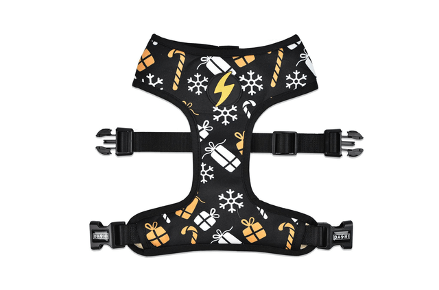 Spark Neo Mesh