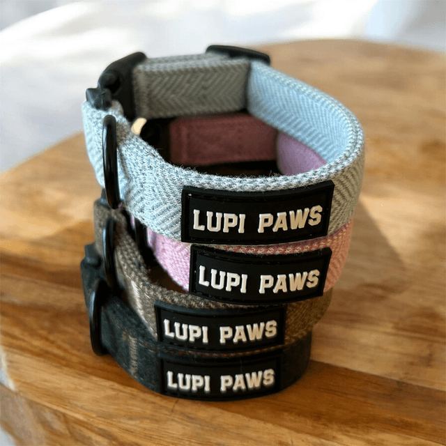 Tweed collar (small and medium breeds)