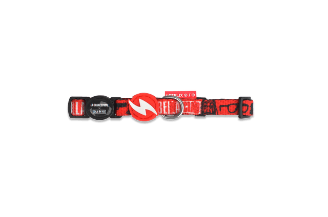 LCDP Bella Ciao collar cat