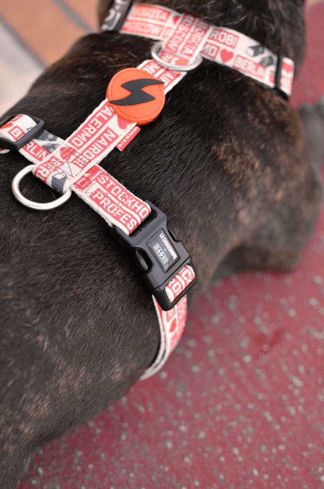LCDP Jarana back harness