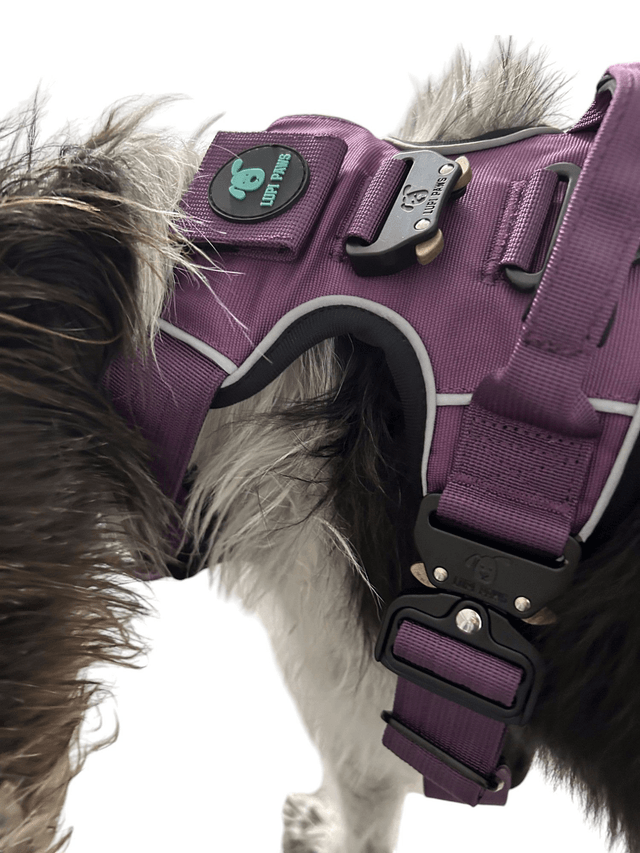 Tactical Harness - Purple