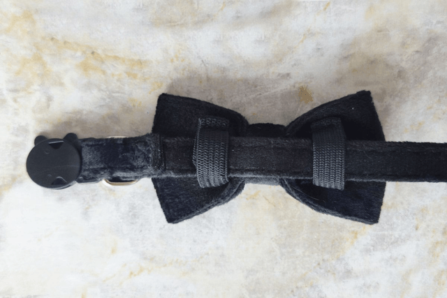 Velvet Black Collar