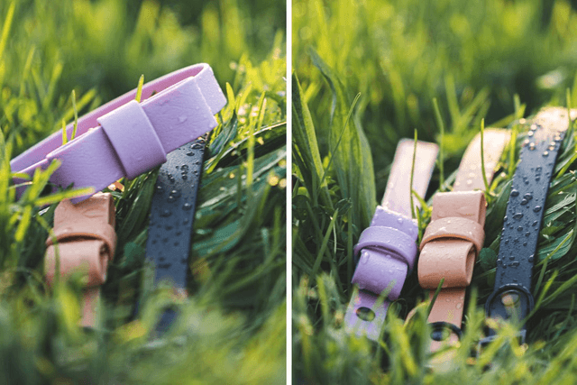 Lavender Collar with bowtie