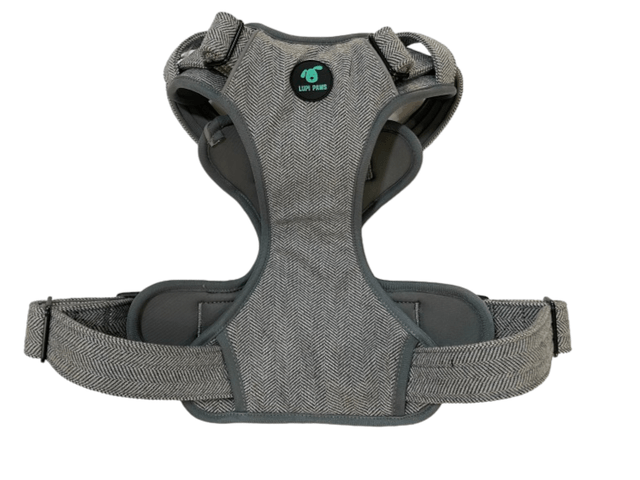Tweed Harness - Grey