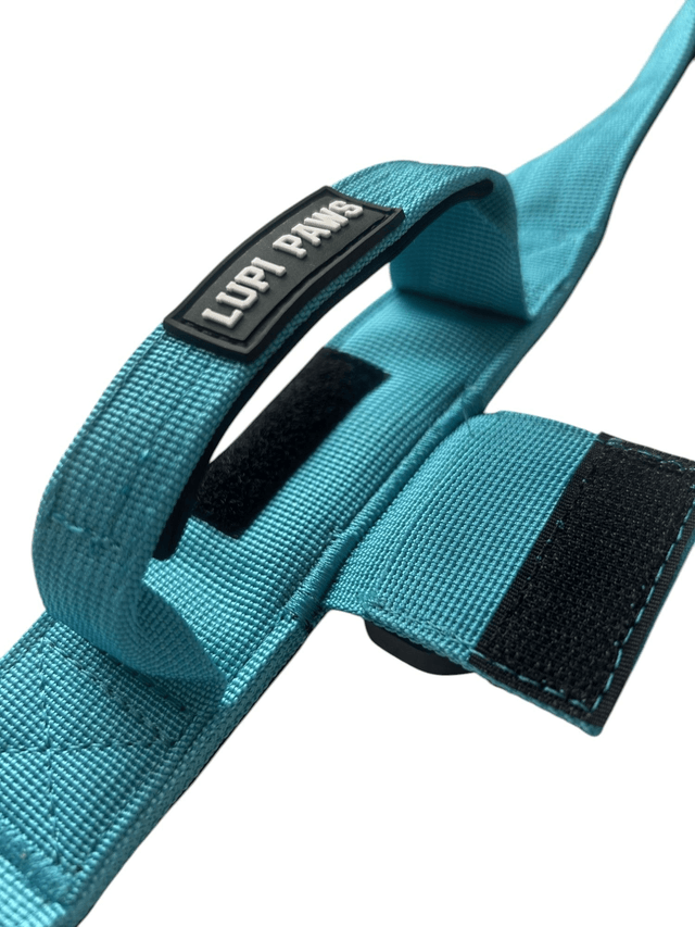 Tactical Collar - Blue