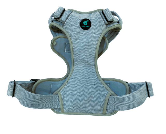 Tweed Harness - Blue
