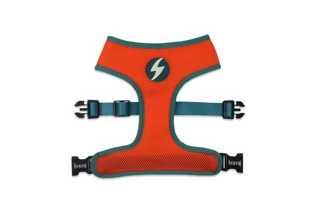 Mojo Neo Mesh