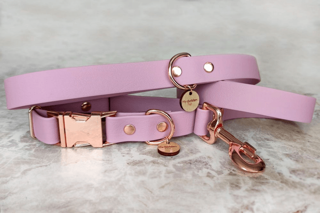Lavender Leash