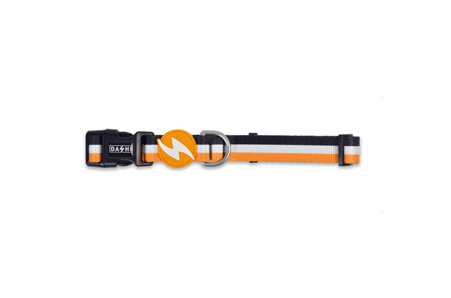 Stripes 3 Orange & Black collar