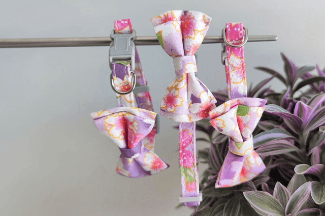 Floral Purple Mini Collar
