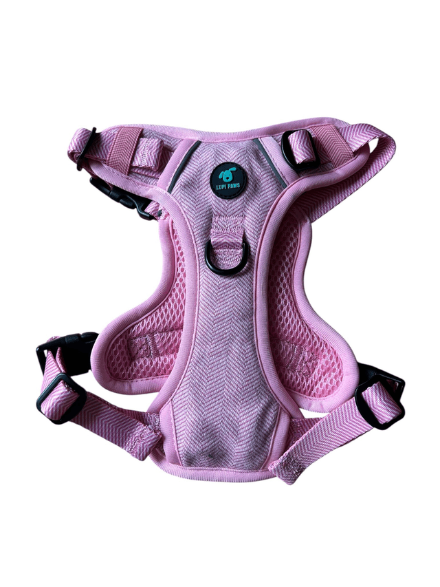 Tweed harness (small and medium breeds)