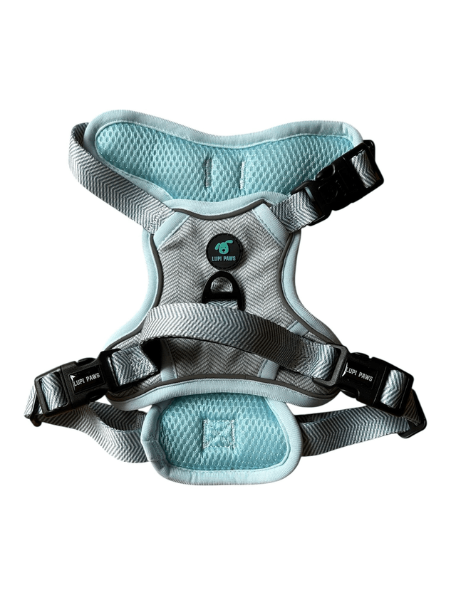 Tweed harness (small and medium breeds)