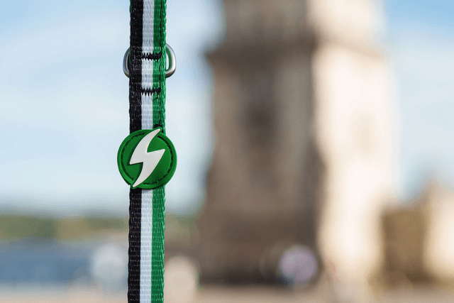 Stripes 3 Green & Black Leash