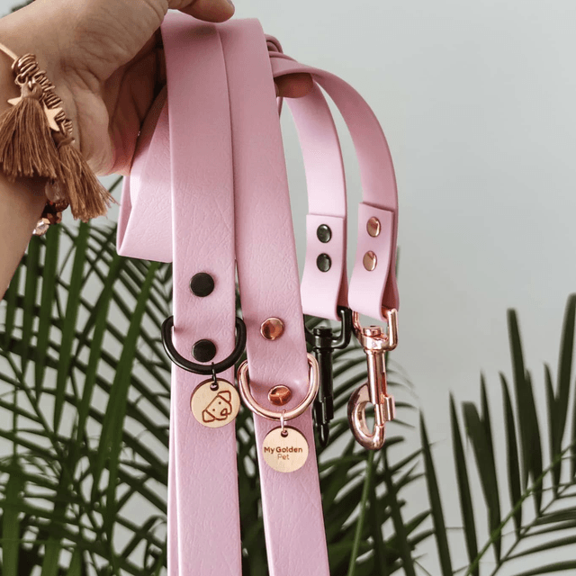 Lavender Leash