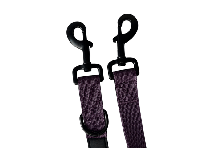 Double handed leash - Purple