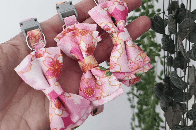 Floral Pink Mini Collar