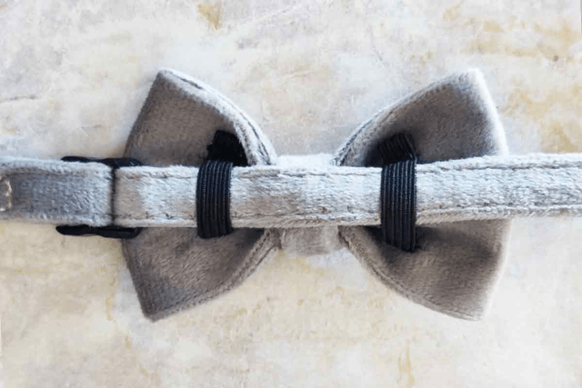 Velvet Grey Collar