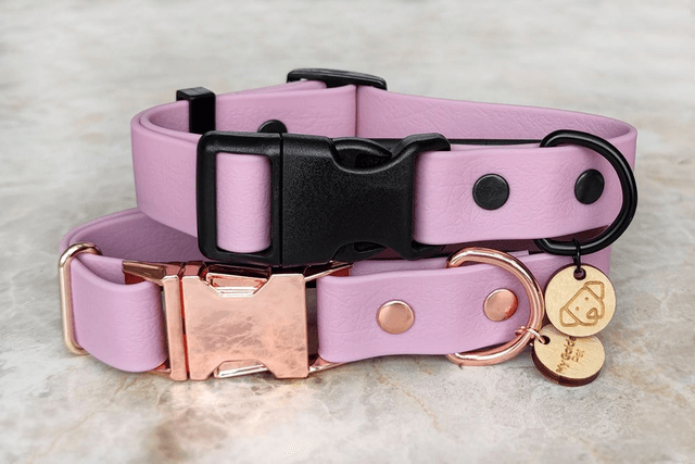 Lilac Lavender Collar