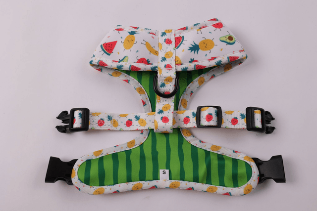 Tutti Frutti reversible harness