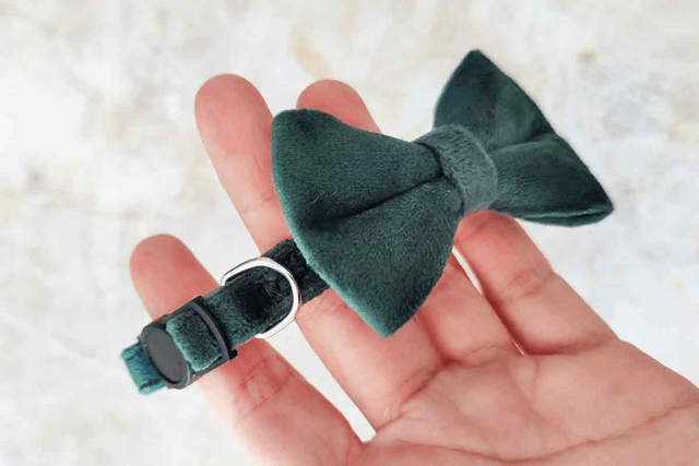 Velvet Green Collar