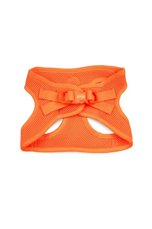 Neon Orange Oxy Mesh